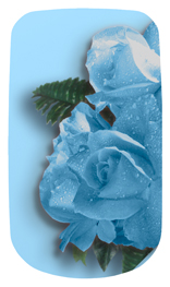 DAROYAL-061 Bouquet Of Roses Blue